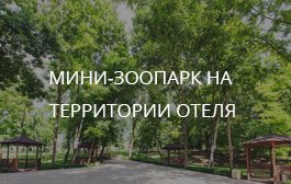 Преимущества Парк-отель Надежда